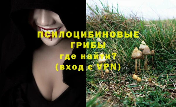 марихуана Богородицк