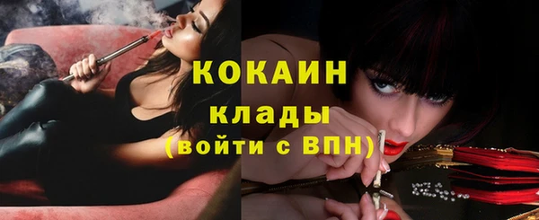 трава Богданович