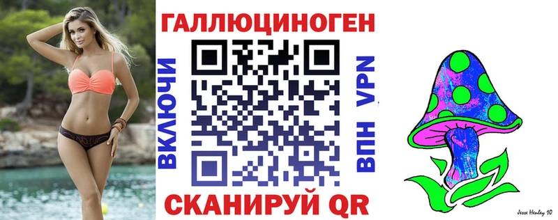 дарнет шоп  Нелидово  Галлюциногенные грибы прущие грибы 